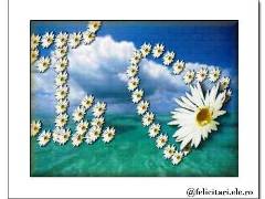Te...