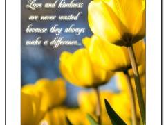 Love and kindness
