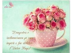 Dragostea e ...