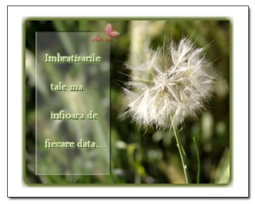 Imbratisarile tale