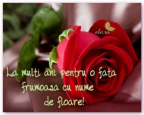 Nume de floare!